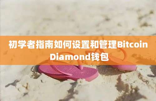 初学者指南如何设置和管理Bitcoin Diamond钱包