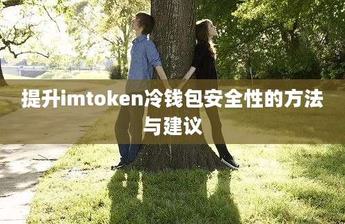 提升imtoken冷钱包安全性的方法与建议