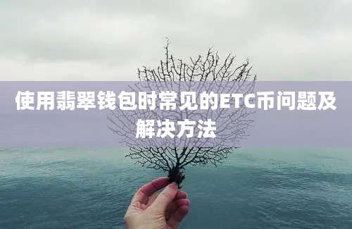 使用翡翠钱包时常见的ETC币问题及解决方法