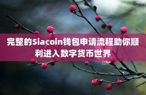 完整的Siacoin钱包申请流程助你顺利进入数字货币世界