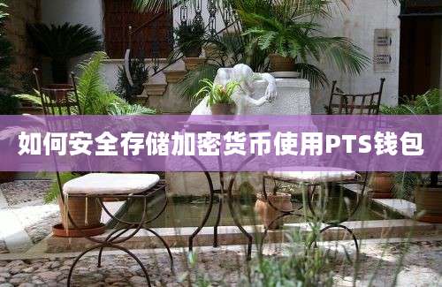 如何安全存储加密货币使用PTS钱包