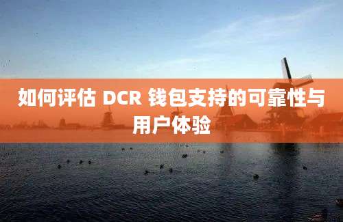 如何评估 DCR 钱包支持的可靠性与用户体验