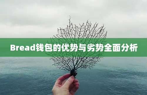 Bread钱包的优势与劣势全面分析