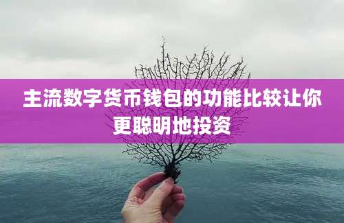 主流数字货币钱包的功能比较让你更聪明地投资