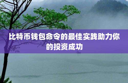 比特币钱包命令的最佳实践助力你的投资成功