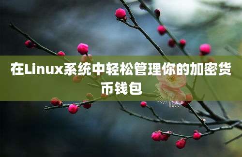 在Linux系统中轻松管理你的加密货币钱包