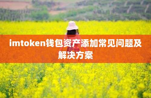 imtoken钱包资产添加常见问题及解决方案