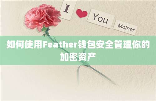 如何使用Feather钱包安全管理你的加密资产