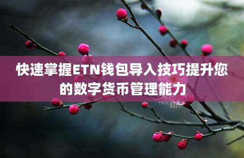 快速掌握ETN钱包导入技巧提升您的数字货币管理能力