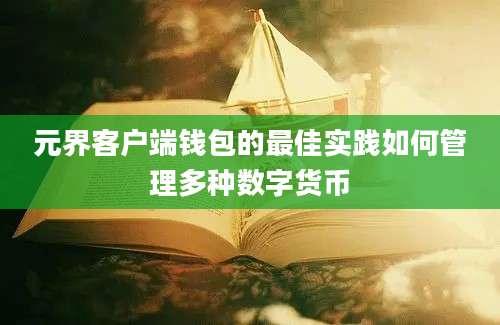 元界客户端钱包的最佳实践如何管理多种数字货币