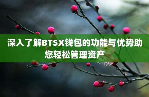 深入了解BTSX钱包的功能与优势助您轻松管理资产