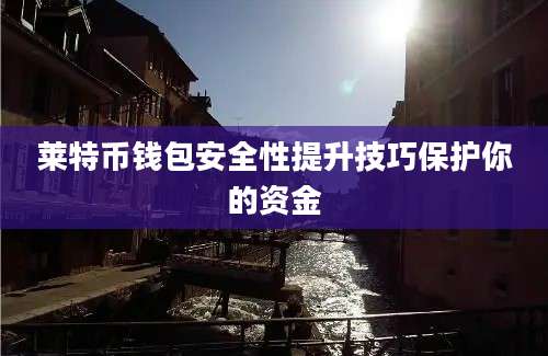 莱特币钱包安全性提升技巧保护你的资金