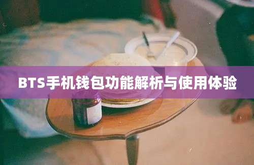 BTS手机钱包功能解析与使用体验