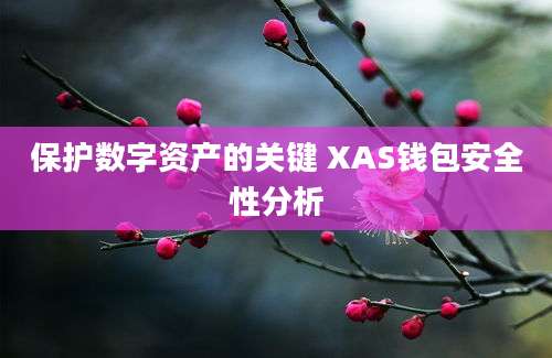 保护数字资产的关键 XAS钱包安全性分析