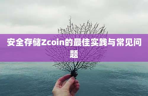 安全存储Zcoin的最佳实践与常见问题