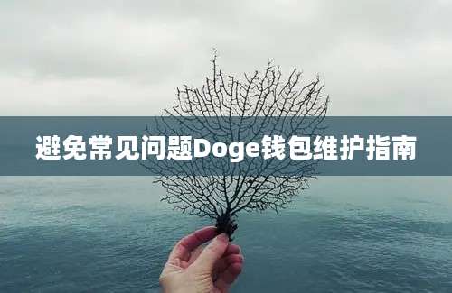 避免常见问题Doge钱包维护指南