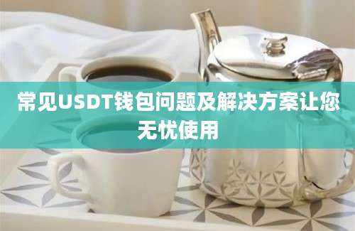 常见USDT钱包问题及解决方案让您无忧使用