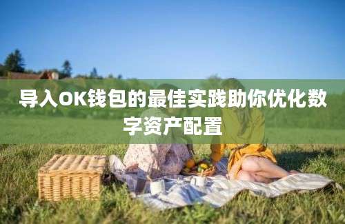 导入OK钱包的最佳实践助你优化数字资产配置