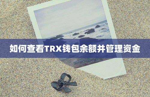 如何查看TRX钱包余额并管理资金