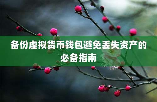 备份虚拟货币钱包避免丢失资产的必备指南