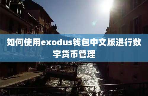 如何使用exodus钱包中文版进行数字货币管理