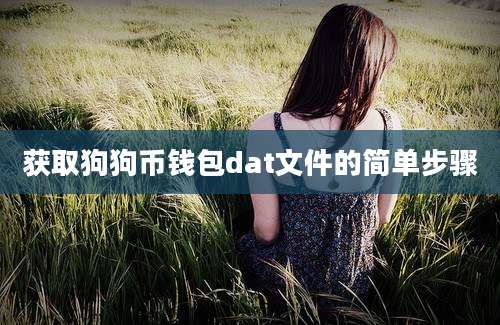 获取狗狗币钱包dat文件的简单步骤